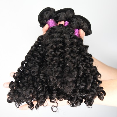 High Quality Wholesale 100% Natural Human Hair Bundles Raw Virgin Brazilian Hair Products Vendors